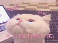 泰可泰勒传媒科技（上海）有限公司