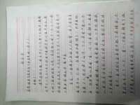 泰可泰勒传媒科技（上海）有限公司