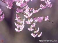 泰可泰勒传媒科技（上海）有限公司