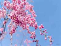 泰可泰勒传媒科技（上海）有限公司