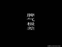 泰可泰勒传媒科技（上海）有限公司