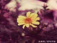 泰可泰勒传媒科技（上海）有限公司