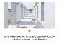 泰可泰勒传媒科技（上海）有限公司