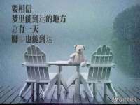 泰可泰勒传媒科技（上海）有限公司