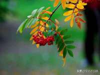 泰可泰勒传媒科技（上海）有限公司