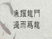 泰可泰勒传媒科技（上海）有限公司