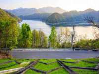 泰可泰勒传媒科技（上海）有限公司