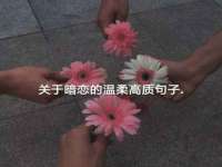 泰可泰勒传媒科技（上海）有限公司