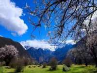 泰可泰勒传媒科技（上海）有限公司