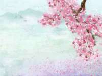 泰可泰勒传媒科技（上海）有限公司