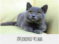泰可泰勒传媒科技（上海）有限公司