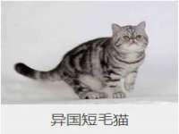 泰可泰勒传媒科技（上海）有限公司