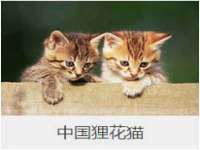 泰可泰勒传媒科技（上海）有限公司