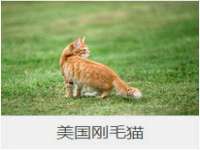 泰可泰勒传媒科技（上海）有限公司