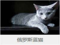 泰可泰勒传媒科技（上海）有限公司