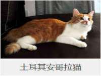 泰可泰勒传媒科技（上海）有限公司