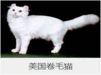 泰可泰勒传媒科技（上海）有限公司