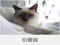 泰可泰勒传媒科技（上海）有限公司