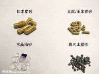 泰可泰勒传媒科技（上海）有限公司