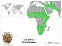 泰可泰勒传媒科技（上海）有限公司