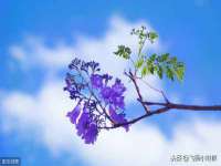 泰可泰勒传媒科技（上海）有限公司