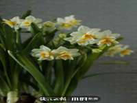 泰可泰勒传媒科技（上海）有限公司