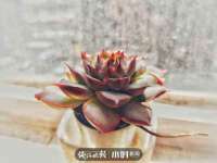 泰可泰勒传媒科技（上海）有限公司
