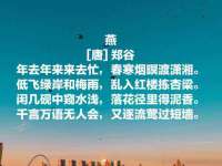 泰可泰勒传媒科技（上海）有限公司