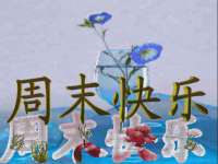泰可泰勒传媒科技（上海）有限公司