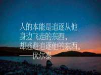 泰可泰勒传媒科技（上海）有限公司