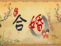泰可泰勒传媒科技（上海）有限公司