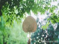 泰可泰勒传媒科技（上海）有限公司
