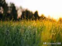 泰可泰勒传媒科技（上海）有限公司