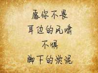 泰可泰勒传媒科技（上海）有限公司