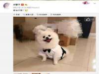 泰可泰勒传媒科技（上海）有限公司