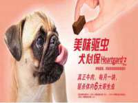 泰可泰勒传媒科技（上海）有限公司