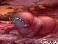 泰可泰勒传媒科技（上海）有限公司