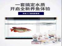 泰可泰勒传媒科技（上海）有限公司