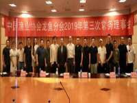 泰可泰勒传媒科技（上海）有限公司