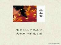 泰可泰勒传媒科技（上海）有限公司