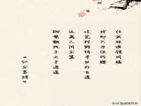 泰可泰勒传媒科技（上海）有限公司