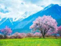 泰可泰勒传媒科技（上海）有限公司