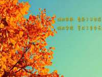 泰可泰勒传媒科技（上海）有限公司