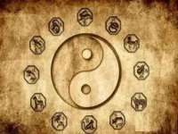 泰可泰勒传媒科技（上海）有限公司