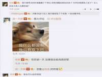 泰可泰勒传媒科技（上海）有限公司