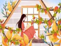 泰可泰勒传媒科技（上海）有限公司