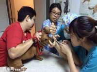 泰可泰勒传媒科技（上海）有限公司