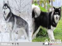 泰可泰勒传媒科技（上海）有限公司