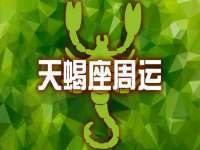 泰可泰勒传媒科技（上海）有限公司