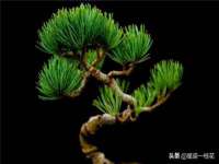 泰可泰勒传媒科技（上海）有限公司